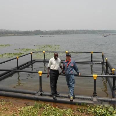 HDPE Material Aquaculture Anti -Wave Floating Fish Farming Cage