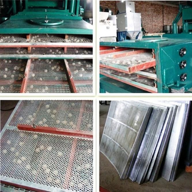 Grain Seed Bean Cleaning Equipment