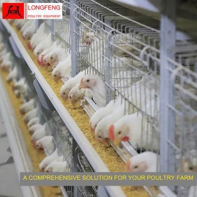 Professional Longfeng Standard Packing Incubator Broiler Chicken Cage for Laying Hens/Layers/Egg