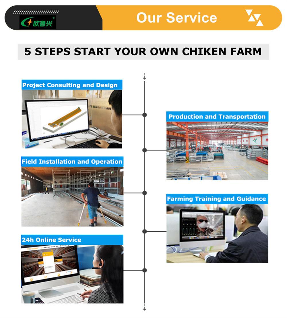 Livestock Machinery Large-Scale Automated Poultry Chicken Cage H Type 3/4 Tiers Layer Cage System with CE Certification