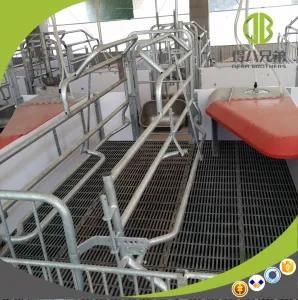 Pig Farm Equipment Sow Farrowing Crate