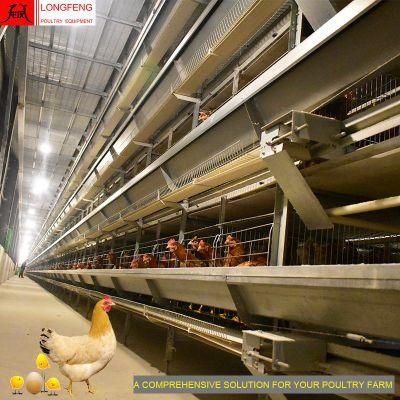 Longfeng Farming China Layer Poultry Equipment Egg Chicken Cage with Good Service