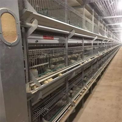 Automatic Battery Layers Chicken Poultry Equipment Chicken Layer Cage