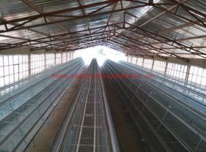 Full Set Automatic Poultry Equipment for Poultry Farm