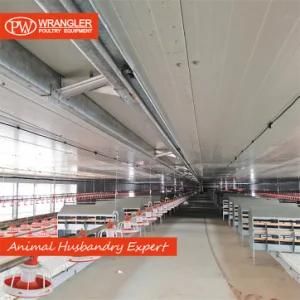 Pw Design Complete Poultry Chicken Farm Equipment for Broiler and Breeders