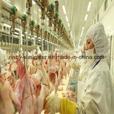 High Quality Chicken Slaughterhouse/ Chicken Slaughter Machine / Chicken Slaughter House Plant
