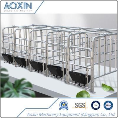 Pig Farming Equipment Sow Housing Pens Gestation Railing Cages