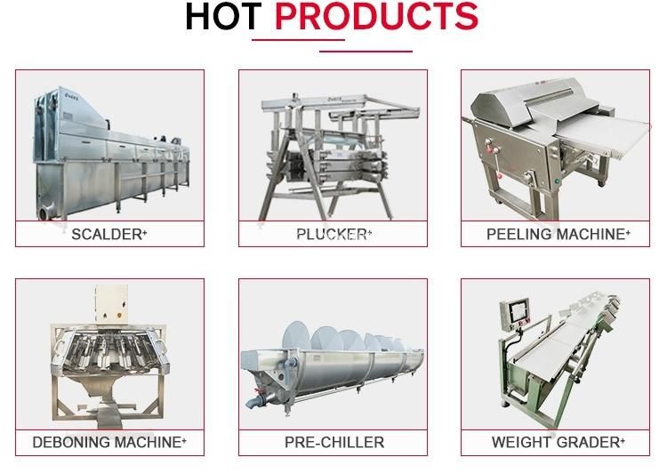 Abattoir Conveying Chicken Feet Scalding Machine