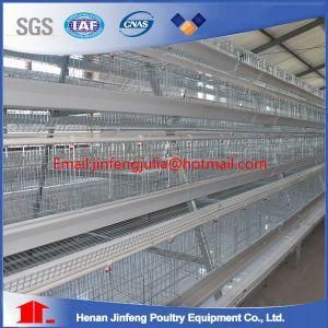 Battery Cages Laying Hens Used for Layer Farm
