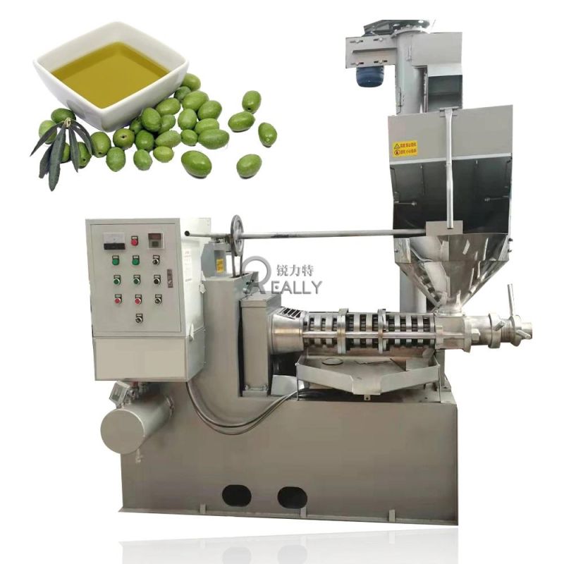 Screw Oil Press Machine Automatic Hydraulic Cold Oil Extractor Sunflower Seeds Coconut Sesame Peanut Palm Kernel Olive Oil Expeller Extraction Making Machine