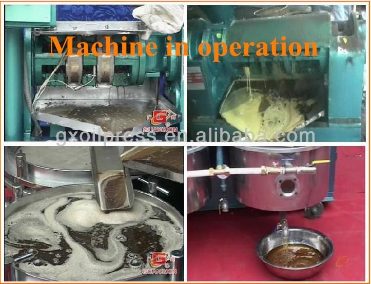1 Ton Per Day Automatic Soybean Oil Expeller with Oil Filter