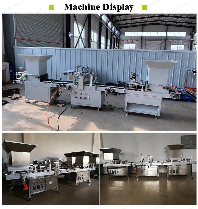 automatic vegetable flower seed seeding tray nursery tray planting machine in trays