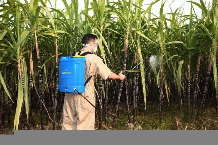 Rainmaker 16L Backpack Garden Agricultural Knapsack Rechargeable PP Sprayer