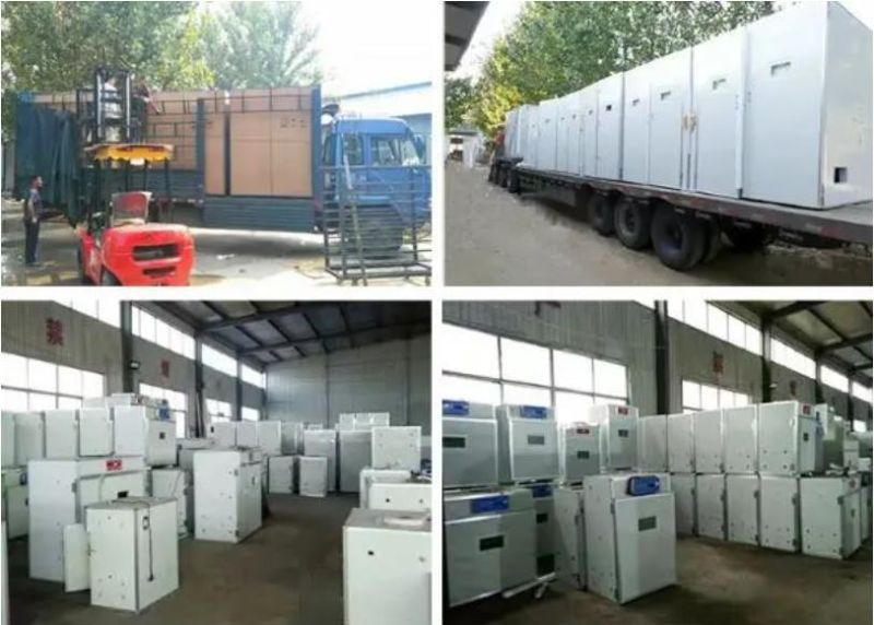 High Hatching Rate Chicken Egg Incubator/Automatic Solar Incubator