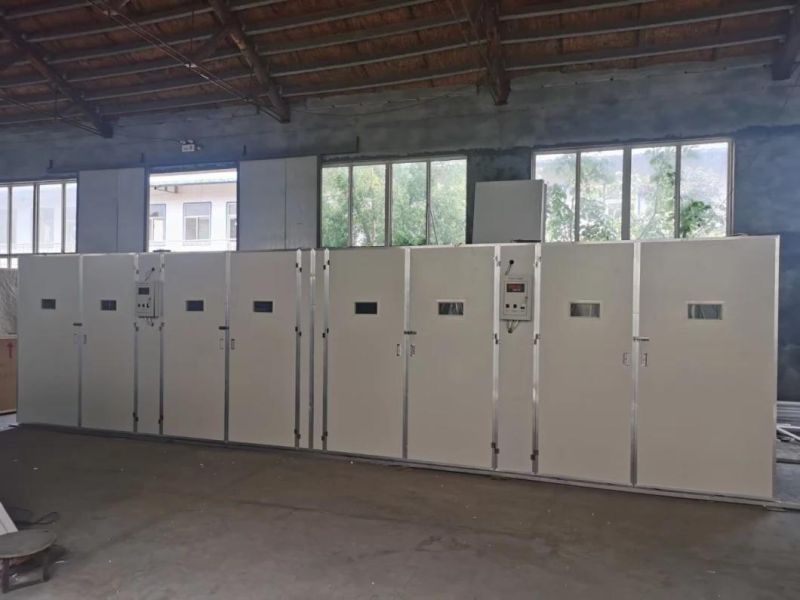 Professionally Manufactured Automatic Poultry Capacity 19, 712 Egg Incubator