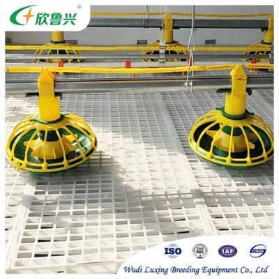 Automatic Poultry Flooring Raise Chicken Plastic Slat Raised Floor for Broiler Farm