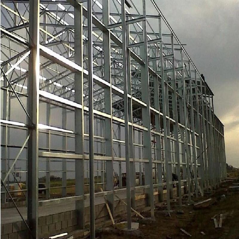 Asia Chen Design High-End Steel Structure Chicken House