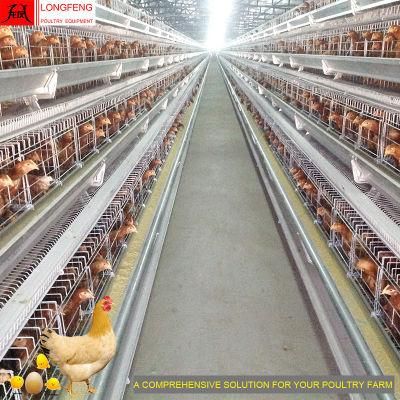 Mature Design, Durable and Sturdy Chicken Layer Battery Egg Laying Cage