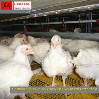 Electric Mature Design Longfeng Standard Packing Feeder Broiler Chicken Cage