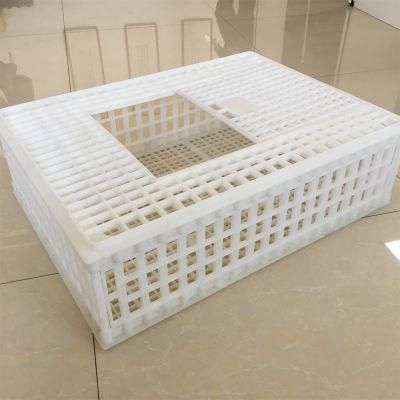 Adult Chicken Turnover Basket Broiler Special Transport Cage Transfer Box