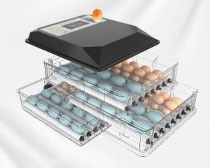 Customized Automatic Chicken Egg Incubator Solar Egg Incubator for 56-200 Eggs