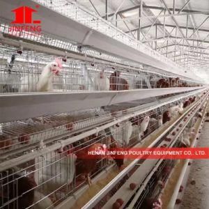 Hot Sale Chicken Cage a Type Poultry Equipment