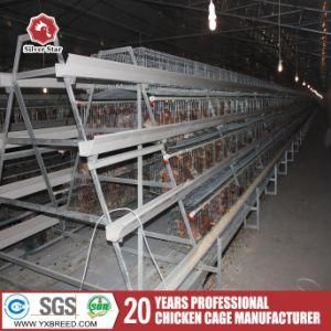 Silver Star a Type of Automatic Chicken Cage