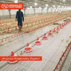 Chicken Ground System Automatic Chicken Farm Equipment for Poultry Farm