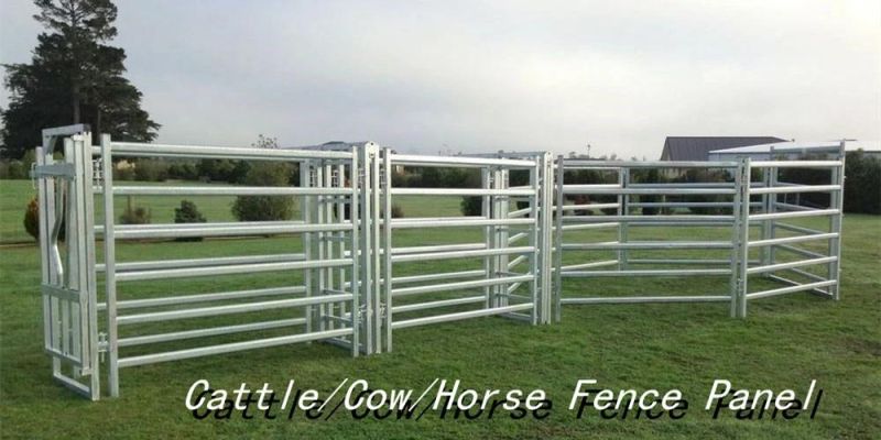 Hot Sale Cow/Cattle/Sheep/Horse Corral Livestock Galvanized Fence