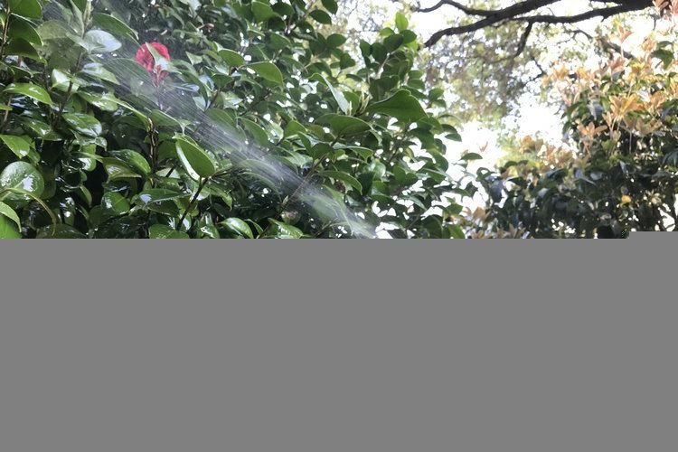 16L 2 in 1 Agricultural Electric Lead-Acid Battery Chemical Resistant Pesticide Weedicide Knapsack Sprayer