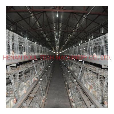 a Frame Automatic Multi-Purpose Chicken Cage Equipment