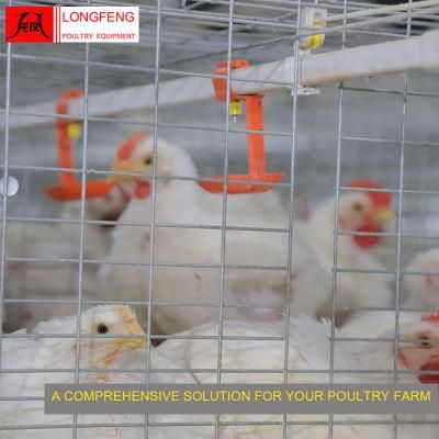 High Quality Computerized Longfeng China Poultry Drinkers Chicken Layer Battery Broiler Cage 9lcr-3120
