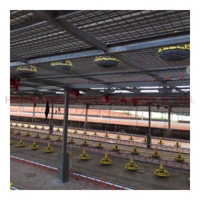 Advanced Poultry Farm Equipment for Ground Raising Broiler