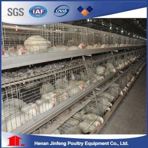 Automatic /Semi Automatic Poultry Equipment for Broiler Chickenon Sell