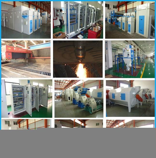 Professional Animal Feed Chain Conveyor for Grain Processing