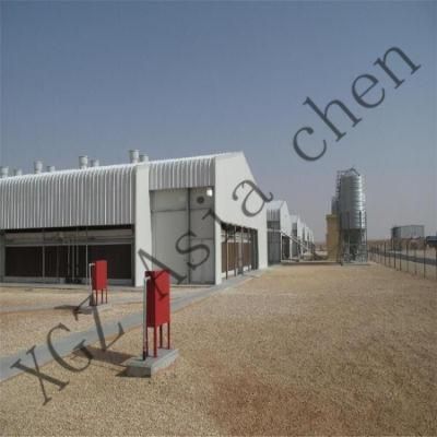 Prebab Automatic Steel Structure Poultry Farming House