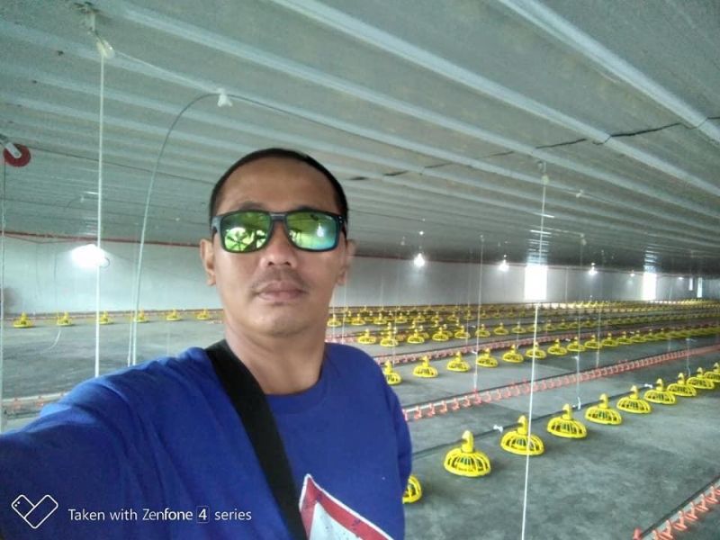 Automatic Chicken Farm Poultry Breeding Feeding Pans Equipment for Broiler Chickens