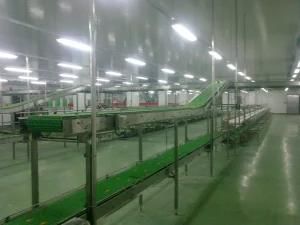 Reciprocating Half Parting Saw for Splitting Pig Hog Carcass