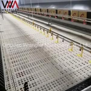 Agriculture Equipment Clear Plastic Floor Covering Chicken Support Leg Beam Slats for Broiler Farming