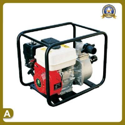 Factory Supply Garden Machinery of Water Pump (TS-5030P)