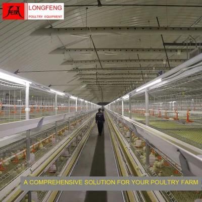 Professional Mature Design Longfeng Standard Packing House Broiler Chicken Cage