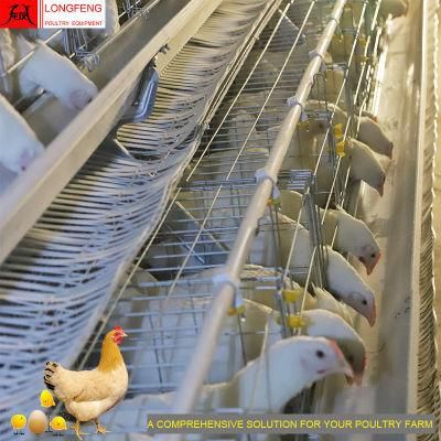 Chicken Local After-Sale Service in Asia Poultry Farm Layer Cages Egg Laying Cage