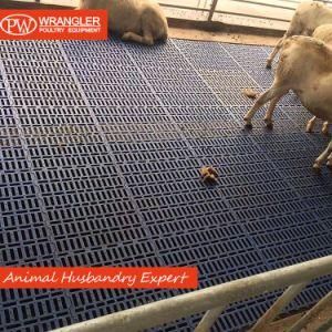 Plastic Goat Flooring System Plastic Slatted Flooring for Goat Wholesale Price