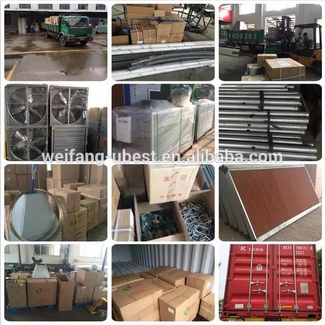 Poultry Galvanized Steel Chicken Storage Feed Silo
