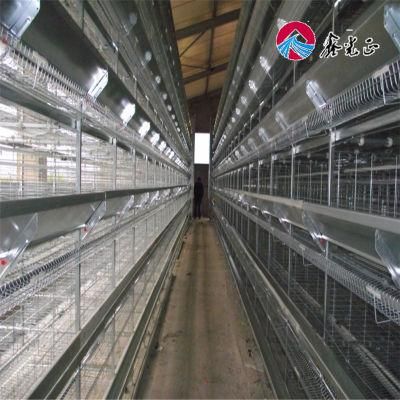 Poultry Equipment Farms Machinery Galvanized Layer Breeding Cages