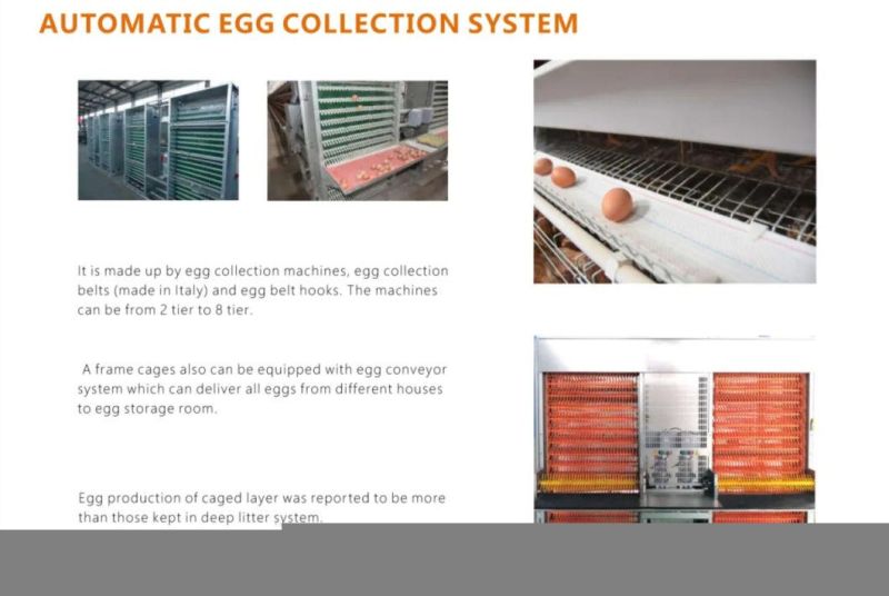 Poultry Farm Equipment and Layer Cages Birds Cages Good Price