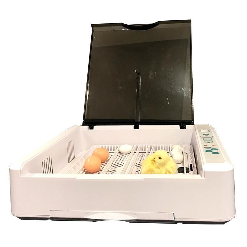 Hhd New Arrival Automatic Chicken Egg Incubators Hatchery Machine
