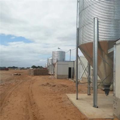 Quality Full-Automatic Self Designed and Manufactured Poultry Equipment