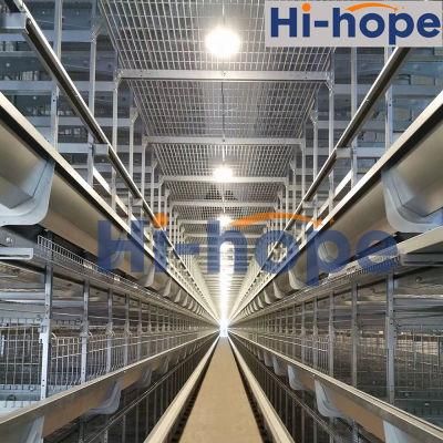 Automatic Chicken Egg Layer Cage System