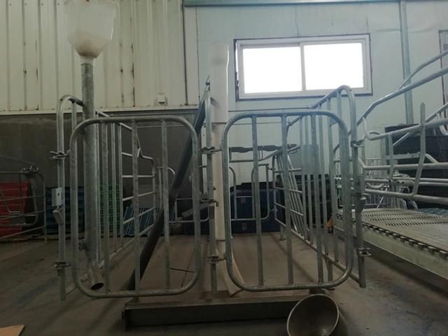 Pig Farrowing/Nursery Crate for Sale
